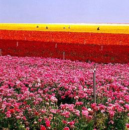 《深海迷航2》实机演示首曝 今年内开启抢先体验