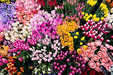 《璀璨的撒拉弗之星-Katis-》Steam页面上线 发售日期待定